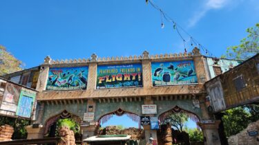 Disney World Files New Construction Permit for Feathered Friends in Flight Theater