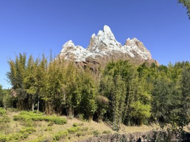 Photos: Minor Work Taking Place on Expedition Everest at Disney’s Animal Kingdom