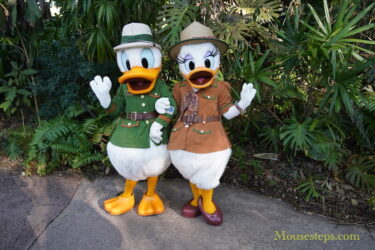 Donald and Daisy Duck, Chip n’ Dale Move to New Locations After DinoLand Closure (Photos, Video)