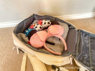 5 Disney Essentials To Help You Take Absolutely Everything You Need While Still Packing Light