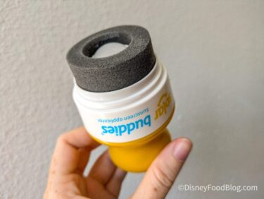 Do You NEED This Disney World Essential? No. Will It Make Your Life 10x Easier? Absolutely.
