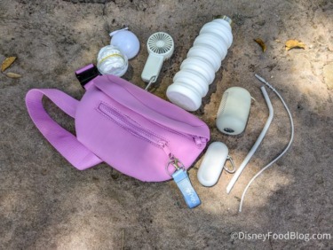 This $40 Fanny Pack Transformed the Way I Do Disney World