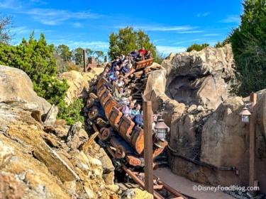 NEW RULES Disney Adults Are Begging for at Seven Dwarfs Mine Train
