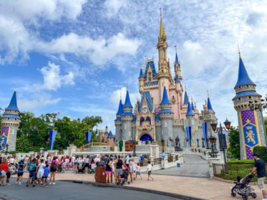 Disney With Kids? Read This Before You Go