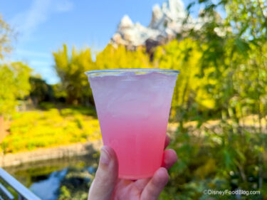 REVIEW: We Hate To Say It, But This Could Be THE Summer Drink In Disney World
