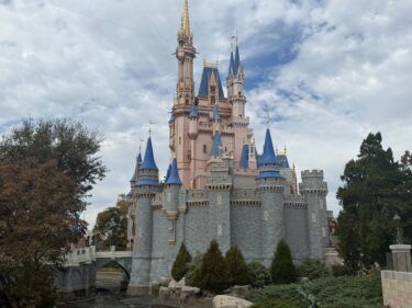 PHOTOS: Cinderella Castle Moat Drained as Repainting Continues