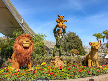 PHOTOS: Colorful New Topiaries Spotted at EPCOT