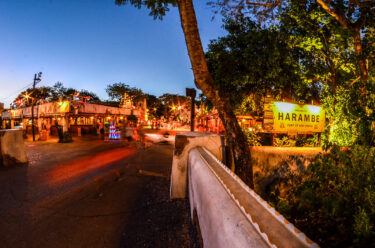 Top Ten Disneyland and Disney World Lands at Night