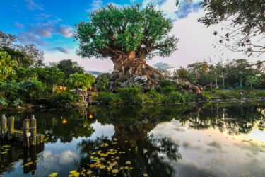 Disney’s Animal Kingdom Lightning Lane Multi Pass Strategy