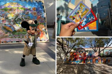 Magic Key Holder Exclusive Event Celebrating the 25th Anniversary of Disney California Adventure