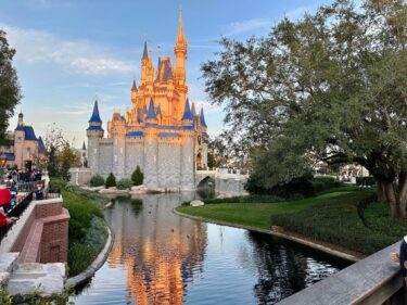 Disney Denies Responsibility in Magic Kingdom Trolley Track Lawsuit