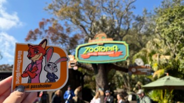 Disney World Adds More Annual Passholder ‘Good to Go’ Days for March 2026