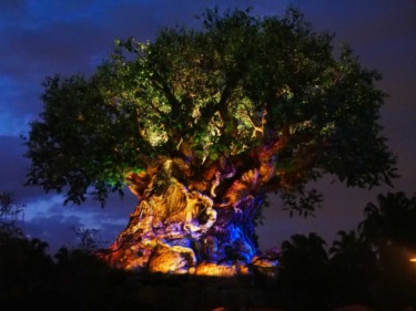 Extended Evening Hours Guest Benefit Coming to Disney’s Animal Kingdom in May