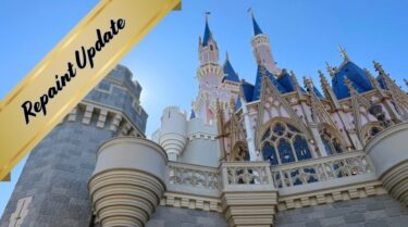 Cinderella Castle Repaint Project: New Photos!