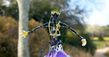 How Imagineers Use Hidden Terrain to Keep Lions Away From Rhinos