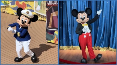 New! Disney Cruise Line / Disney Resort Offer!
