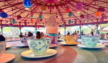 15 Disney World Rides That Are Better as an Adult