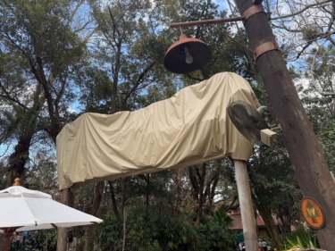 Photos: Baboon Out, Blue Heeler in as Conversation Station and Wildlife Express Close to Prep for New Experience