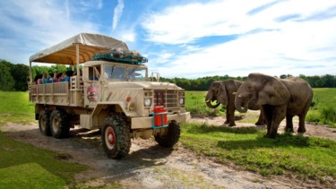 Six Flags Great Adventure Announces Safari Return, Major Upgrades and New Experiences for 2026