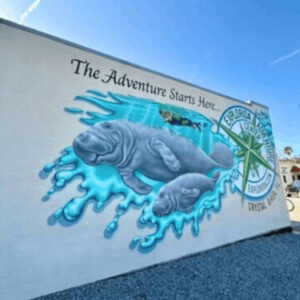 Your Guide to the Top Things to Do in Crystal River Florida