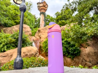 8 Things That Are Non-Negotiables in Your Disney Parks Bag