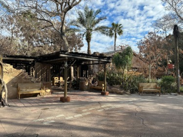 Woodcarved Benches Installed Around Africa at Disney’s Animal Kingdom