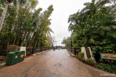 “Dino-Sue” Marked for Demolition as DAK DinoLand Demo Kicks Into High Gear