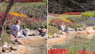 EPCOT Guest Enters Restricted Area, Dips Toes Into Canada Pavilion Stream