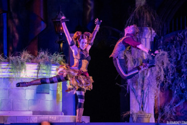 Disney Confirms Popular Entertainment Returning for 2026 Mickey’s Not-So-Scary Halloween Party