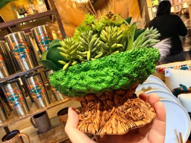 Photos: Take Home the Tree of Life with a New Succulent Planter at Disney’s Animal Kingdom