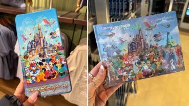 Disney Characters Pressed Penny Book, Autograph Book, and Photo Frame at Disney World