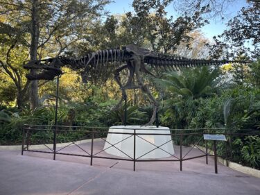 Dino-Sue T. Rex Replica Marked for Demolition at Disney’s Animal Kingdom