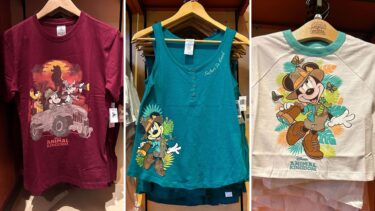 Disney’s Animal Kingdom T-Shirts, Hoodie, and More Apparel
