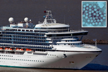 Horrific stomach bug that wipes out cruise ships rips across California 