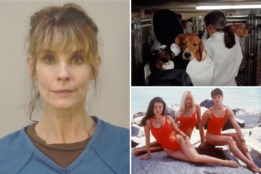 ‘Baywatch’ actress Alexandra Paul arrested for freeing beagles in animal rights protest