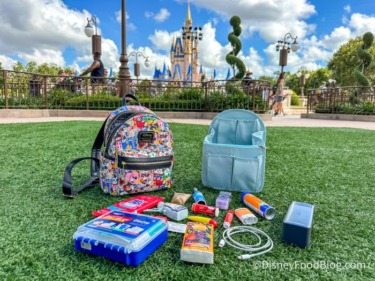 6 Amazon Finds Under $20 That’ll Change How You Do Disney World