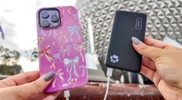 6 iPhone Accessories Disney World Cast Members Swear By