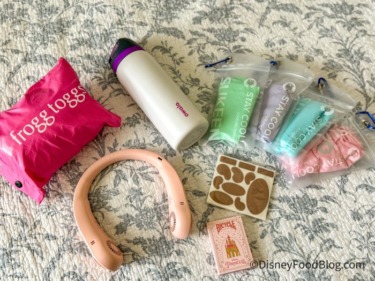 The Only 9 Essentials You Need for Disney World Are Up to 40% Off Today