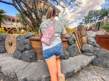 We’re Not Lying When We Say This $9 Amazon Bag Just CHANGED How We Do Disney World