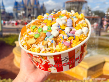 REVIEW: Who Said Popcorn Had To Be Boring? This Magic Kingdom Snack Is Shaking It Up.