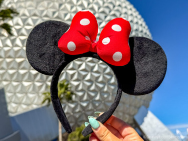 I Never Thought I Would Buy This in Disney World, But It Made My Day 10X Better