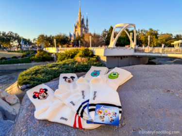 These Are The ONLY Socks You Need For Your Disney World Vacation!