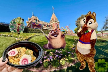 DISNEYLAND UPDATE: Costly Cutbacks, Food Fumbles & After Dark Disappointment