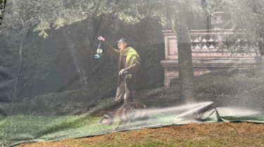 Photo Tour of Magic Kingdom Construction