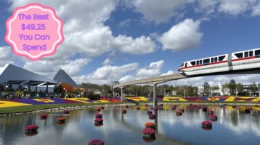The Best $50 You Can Spend at EPCOT’s Flower & Garden