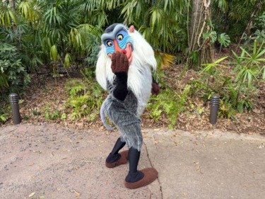 Timon and Rafiki Meeting in New Location at Disney’s Animal Kingdom