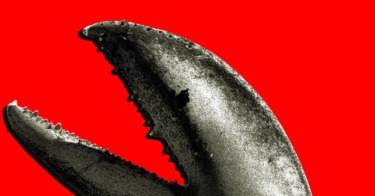 China’s OpenClaw Boom Is a Gold Rush for AI Companies