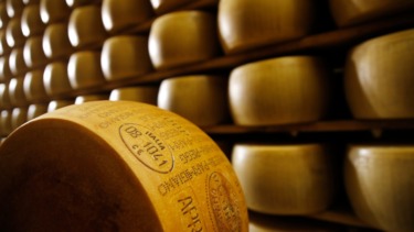 Health officials investigate E. coli outbreak linked to raw cheese sold in Florida