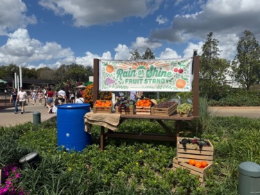 Photos: Rain or Shine Fruit Stand Debuts at EPCOT’s International Flower & Garden Festival