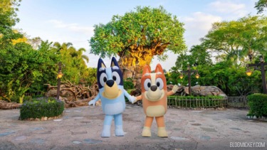 BREAKING: ‘Bluey’s Wild World’ To Open May 26th at Disney’s Animal Kingdom